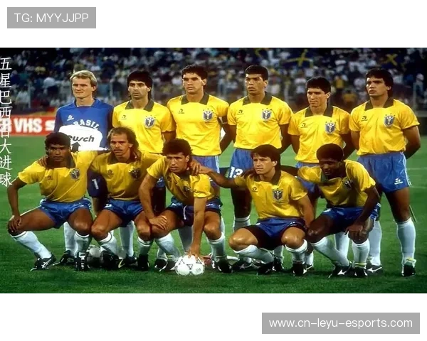 百大足球球星传奇与成就深度剖析书籍推荐精选